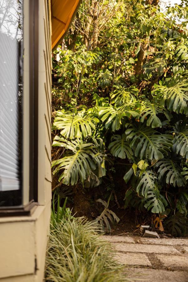 Gamai Tiny House * Monteverde